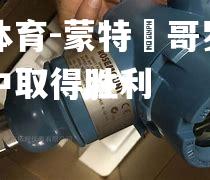 蒙特內哥罗队在比赛中取得胜利