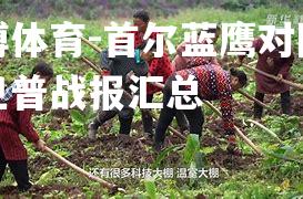 首尔蓝鹰对阵安特卫普战报汇总